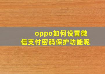 oppo如何设置微信支付密码保护功能呢