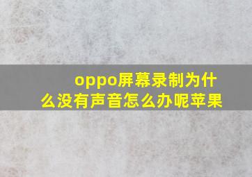 oppo屏幕录制为什么没有声音怎么办呢苹果