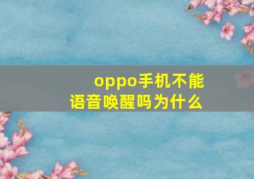 oppo手机不能语音唤醒吗为什么