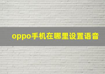 oppo手机在哪里设置语音