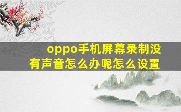 oppo手机屏幕录制没有声音怎么办呢怎么设置