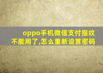 oppo手机微信支付指纹不能用了,怎么重新设置密码