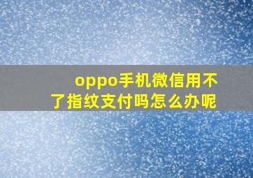 oppo手机微信用不了指纹支付吗怎么办呢