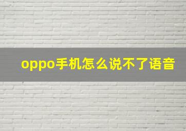 oppo手机怎么说不了语音