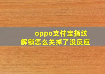 oppo支付宝指纹解锁怎么关掉了没反应