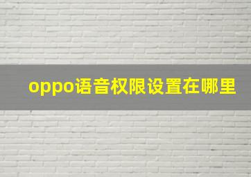 oppo语音权限设置在哪里