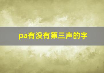 pa有没有第三声的字