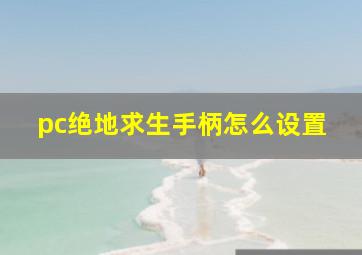 pc绝地求生手柄怎么设置