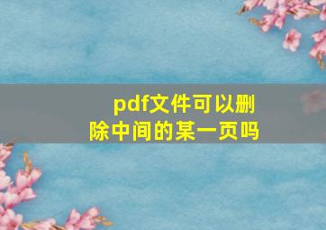 pdf文件可以删除中间的某一页吗