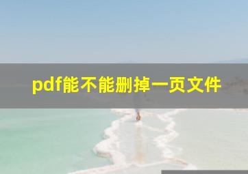 pdf能不能删掉一页文件