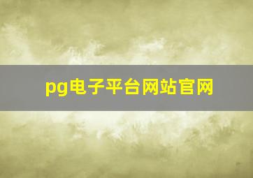 pg电子平台网站官网