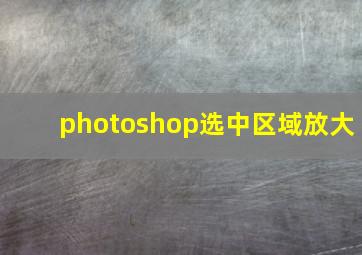 photoshop选中区域放大