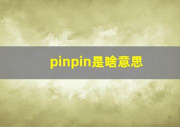 pinpin是啥意思