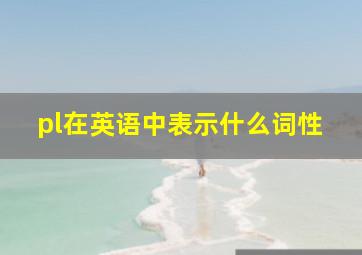 pl在英语中表示什么词性