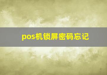 pos机锁屏密码忘记