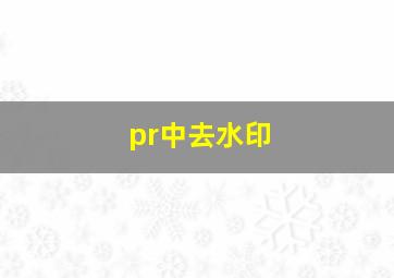 pr中去水印