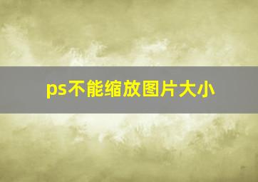 ps不能缩放图片大小