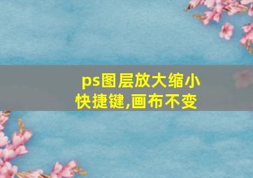 ps图层放大缩小快捷键,画布不变