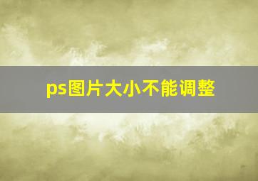 ps图片大小不能调整