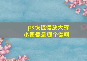 ps快捷键放大缩小图像是哪个键啊