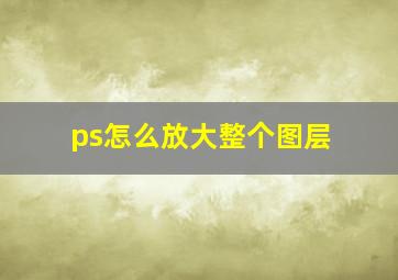 ps怎么放大整个图层