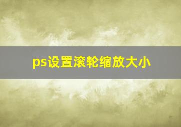 ps设置滚轮缩放大小