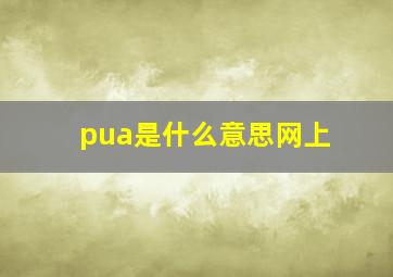 pua是什么意思网上