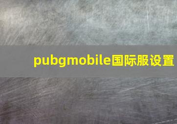 pubgmobile国际服设置