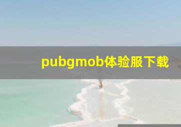 pubgmob体验服下载