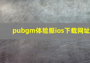 pubgm体验服ios下载网址