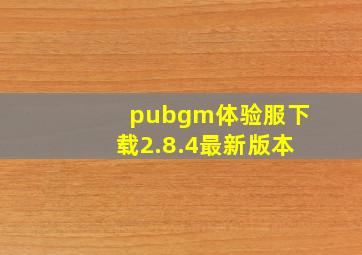 pubgm体验服下载2.8.4最新版本