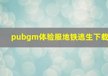 pubgm体验服地铁逃生下载