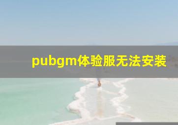 pubgm体验服无法安装