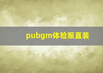 pubgm体验服直装