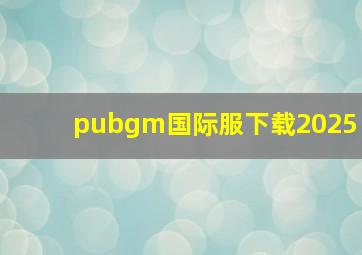 pubgm国际服下载2025