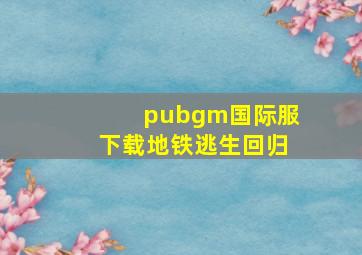 pubgm国际服下载地铁逃生回归