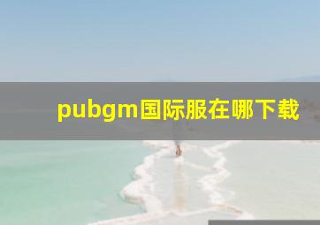 pubgm国际服在哪下载