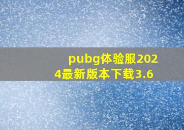 pubg体验服2024最新版本下载3.6