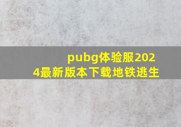 pubg体验服2024最新版本下载地铁逃生