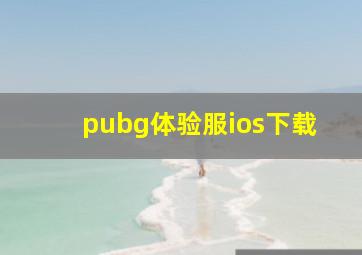 pubg体验服ios下载