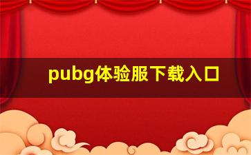 pubg体验服下载入口