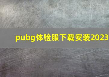 pubg体验服下载安装2023