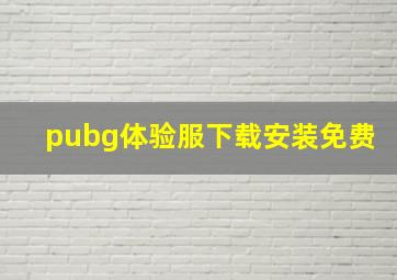 pubg体验服下载安装免费