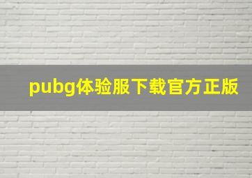 pubg体验服下载官方正版