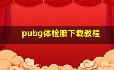 pubg体验服下载教程