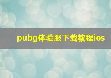 pubg体验服下载教程ios