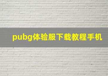 pubg体验服下载教程手机