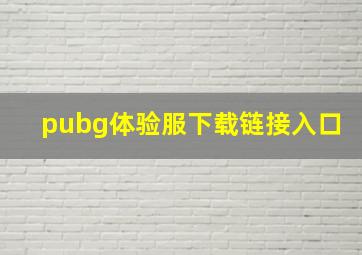 pubg体验服下载链接入口