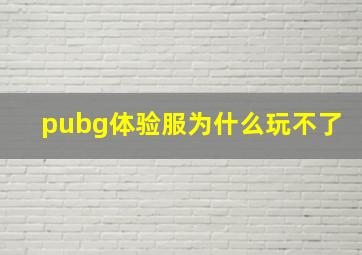 pubg体验服为什么玩不了