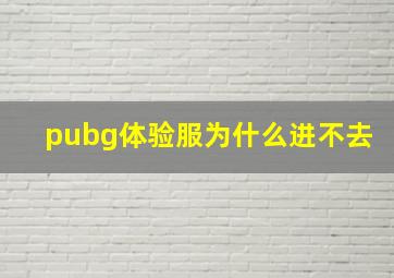 pubg体验服为什么进不去